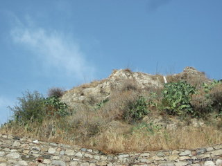 Savoca